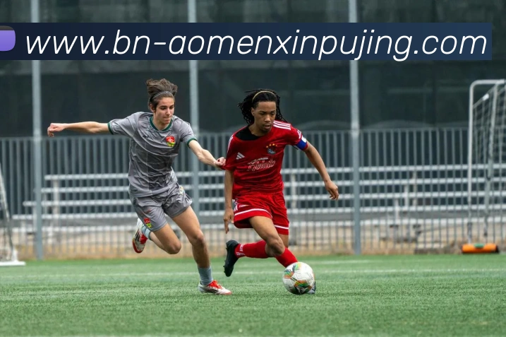 新葡京娱乐品牌故事