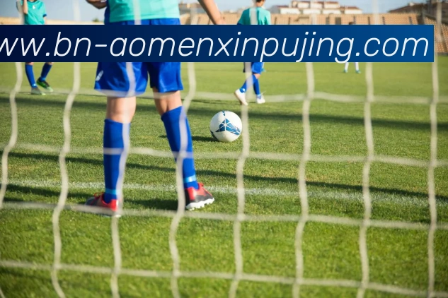 新葡京娱乐服务体系